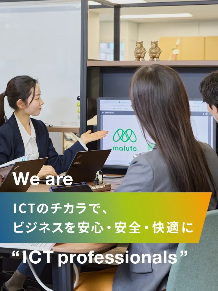 We are ICT professionals class